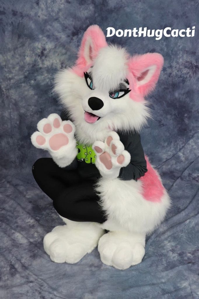 pink husky 1