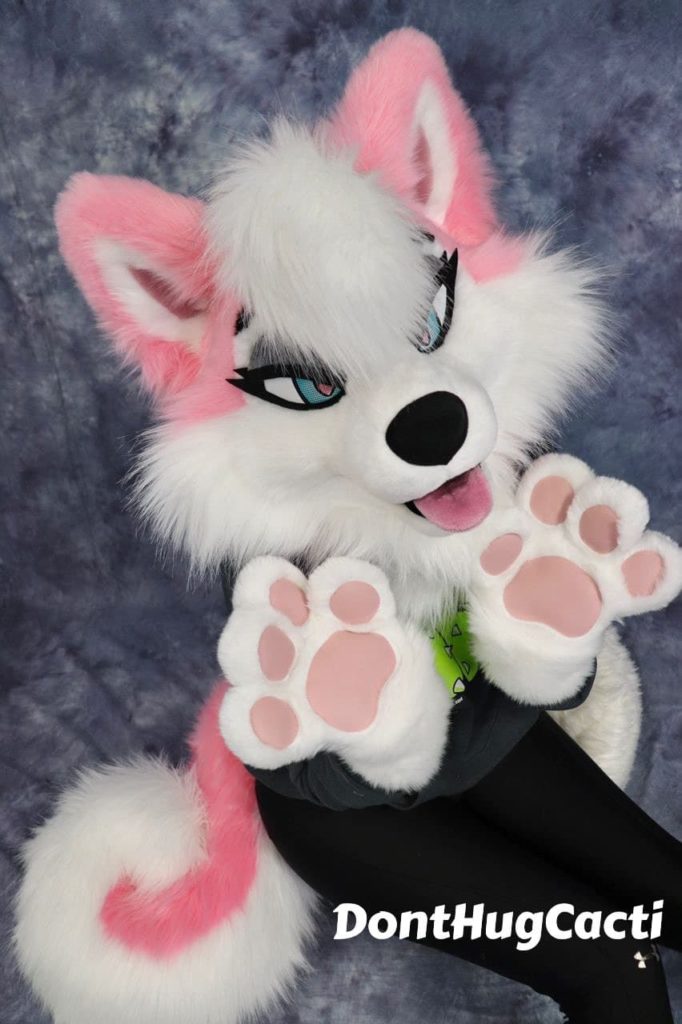 pink husky 2