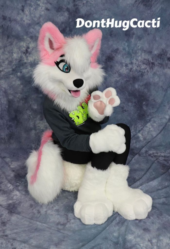 pink husky 3