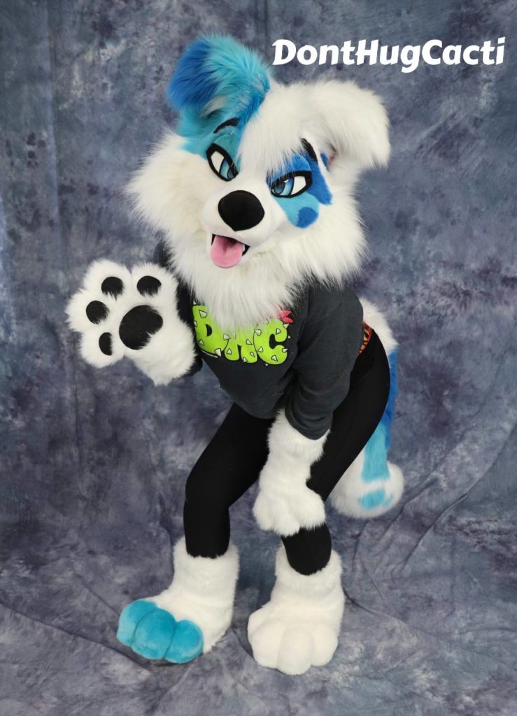 collie4