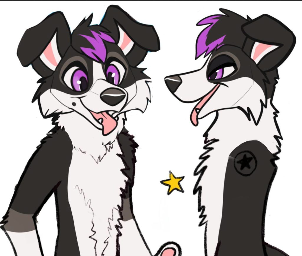 kami collie thumbnail